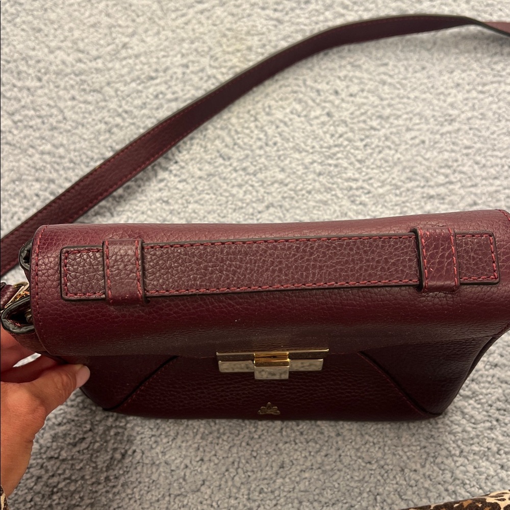 DeMellier Deep Burgundy Crossbody Bag - Picture 5 of 7
